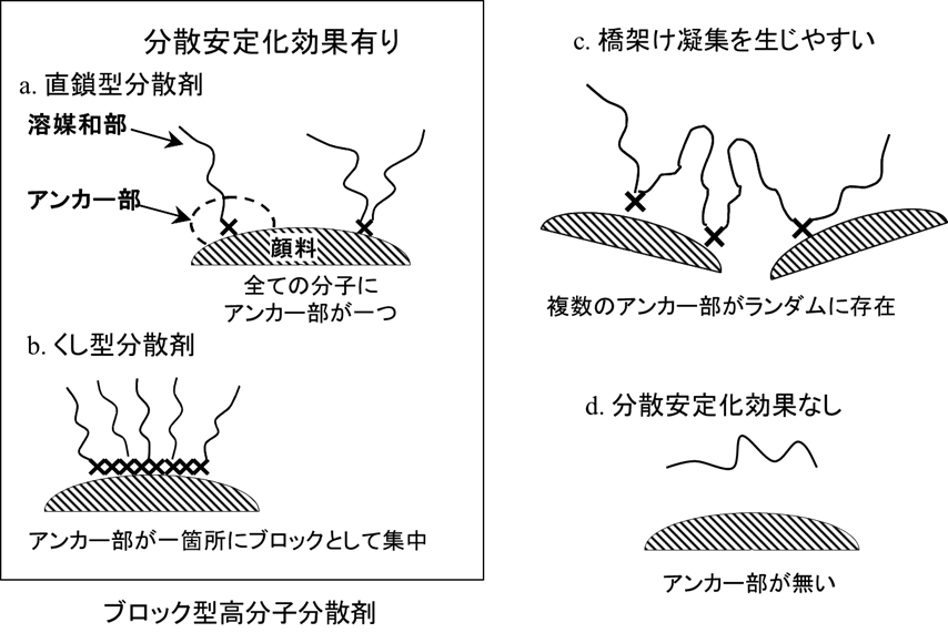 分子内のアンカー部分布と顔料への吸着形態